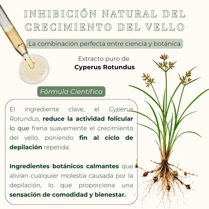 Raienza™ Cyperus Rotundus Oil